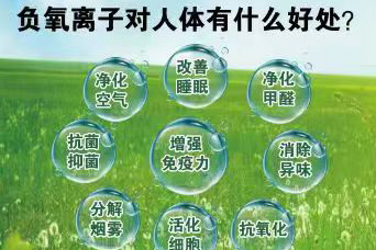 作用机理
